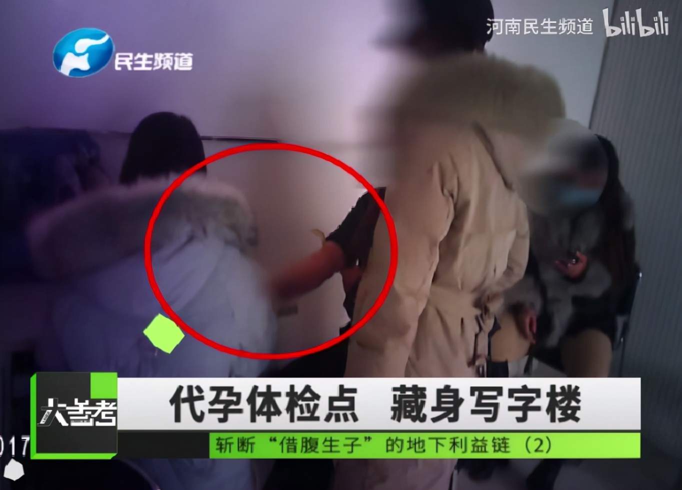 捐卵黑幕,捐卵骗局真人