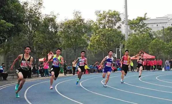 广州市番禺区义务教育一览表,2024番禺中小学招生计划