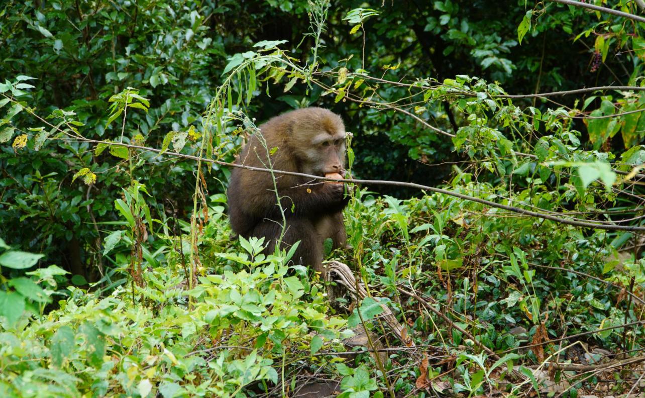 安徽川藏线自驾游吐槽,安徽皖南川藏线自驾游最佳路线
