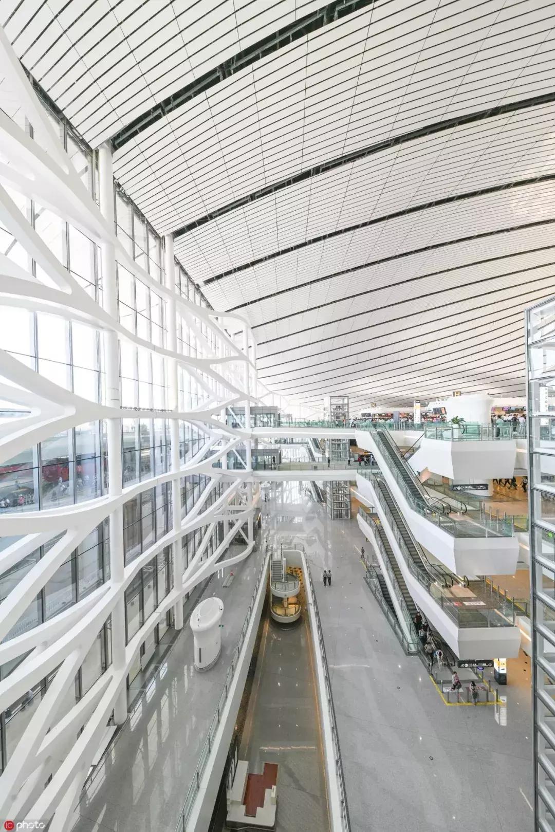 这牛太厉害了,这哥们太牛了