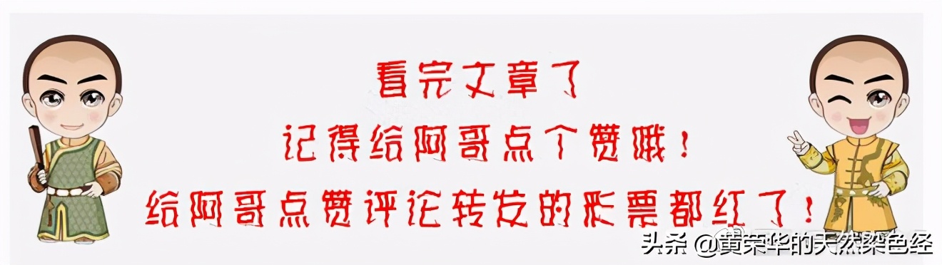 植物染色的实验方案,涤纶筒子纱染色方法