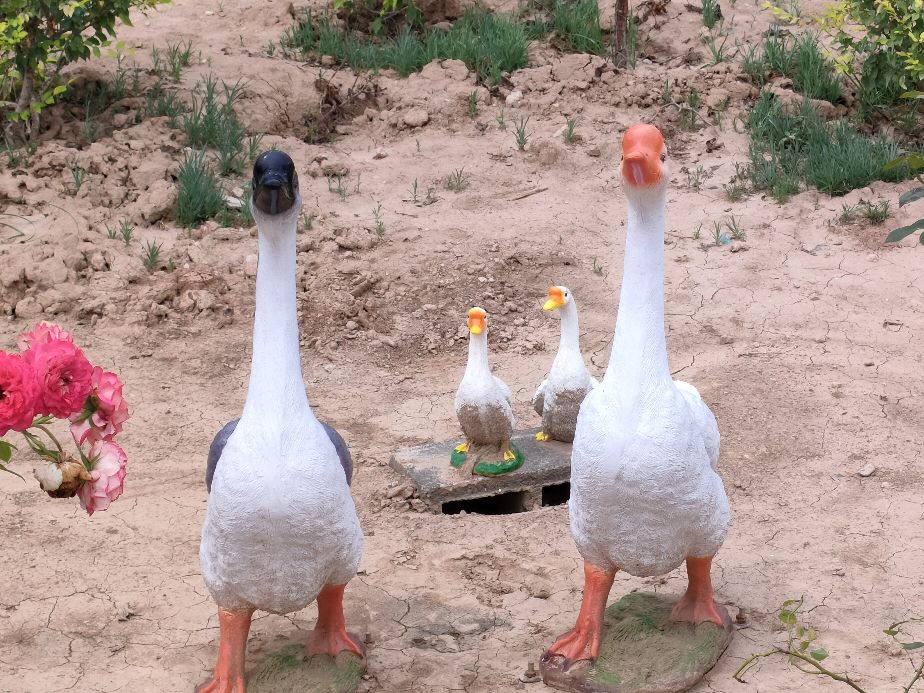 因过竹院逢僧话偷得浮生半日闲,偷得浮生半日闲下一句什么意思