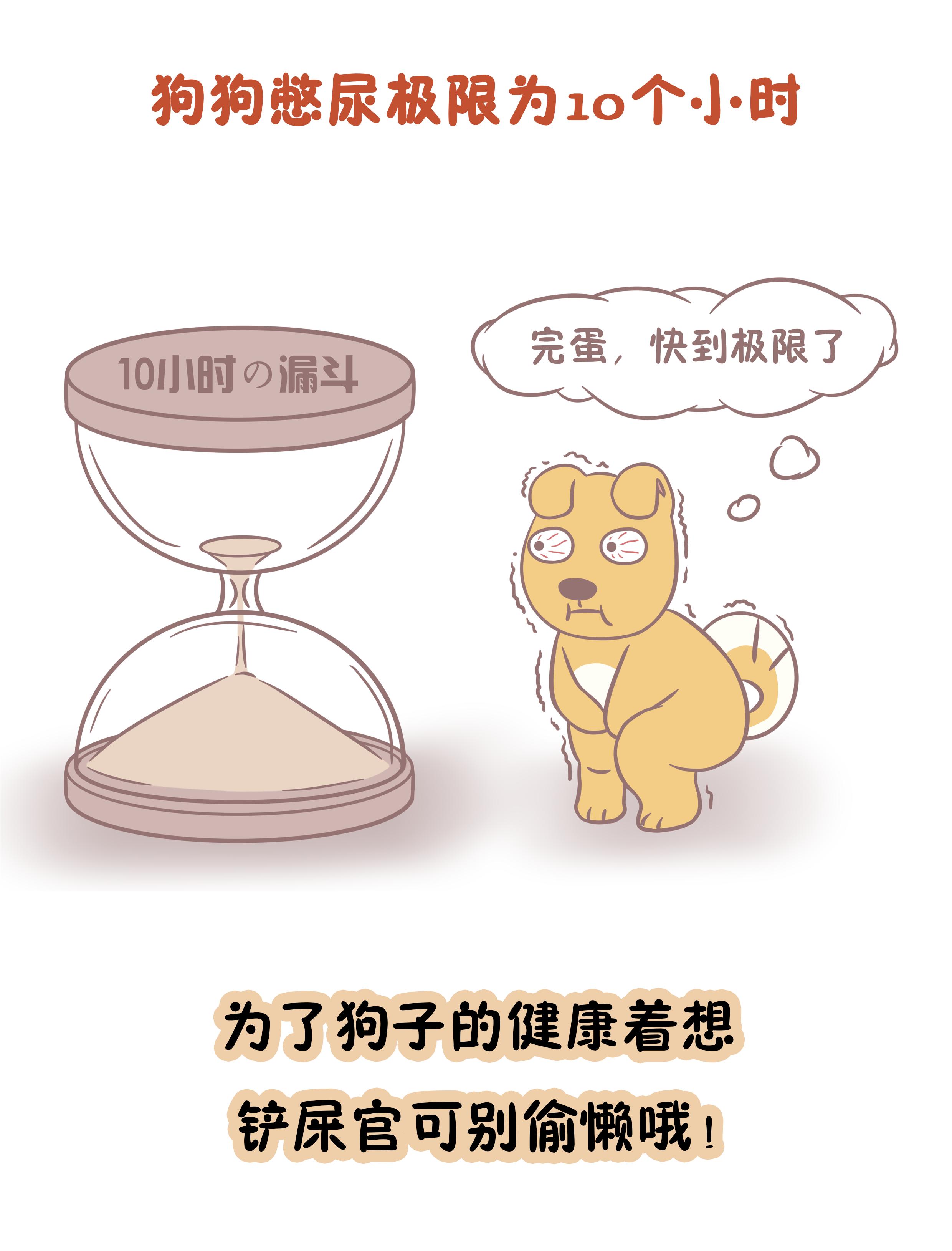 狗狗憋尿时间最好不超过多久,狗狗经常憋尿超过十二个小时