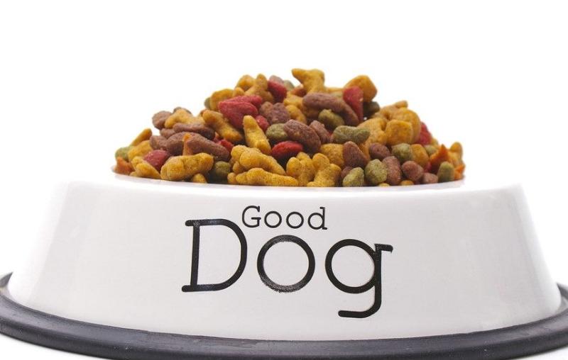 马犬淌眼屎,马犬眼发红有眼屎怎么治