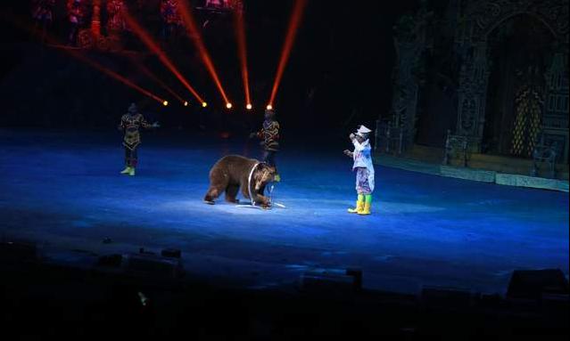 广州长隆四天三晚旅游推荐,4天去广州长隆和珠海看海怎么玩