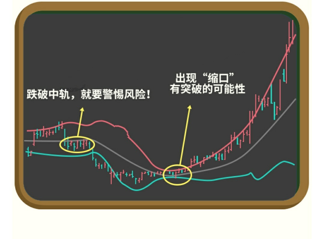 莫枫理财股票,莫枫投资价值分析