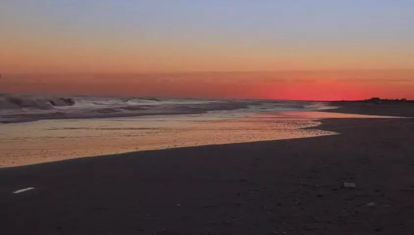 仙人掌在沙漠里是怎么生存下来的,在沙漠怎么才能活下来