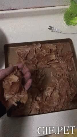 搞笑动图gif女司机,搞笑动图gif微信表情包