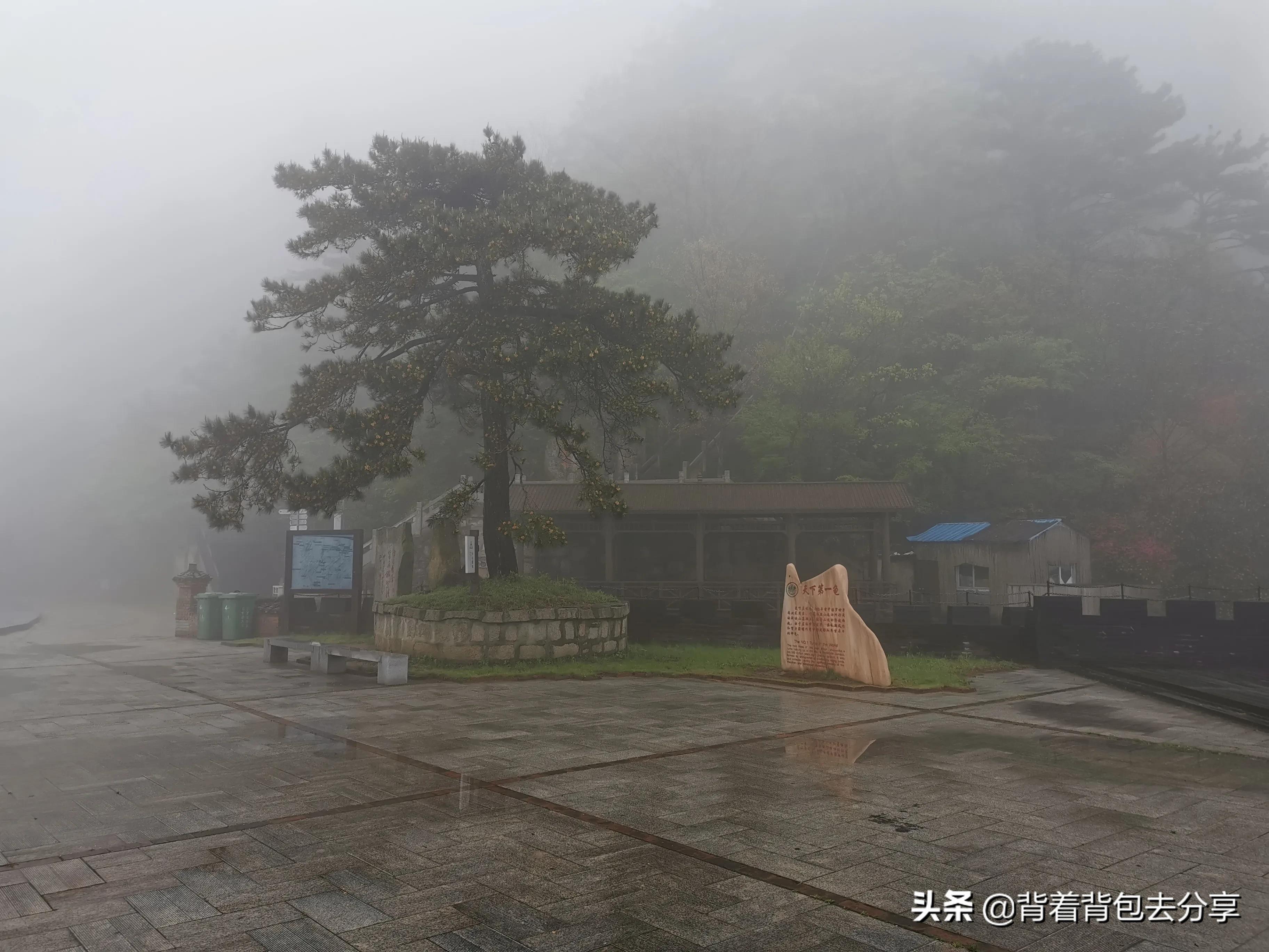 麻城龟峰山古杜鹃,面积最大的杜鹃花景区