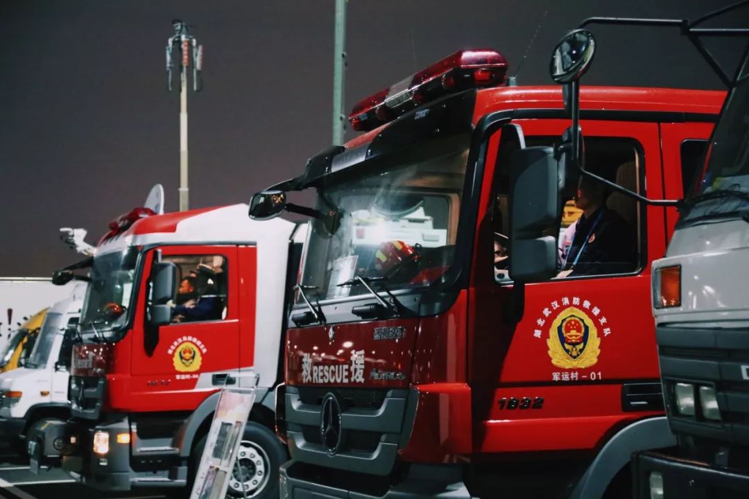 在江夏，我遇见了青松