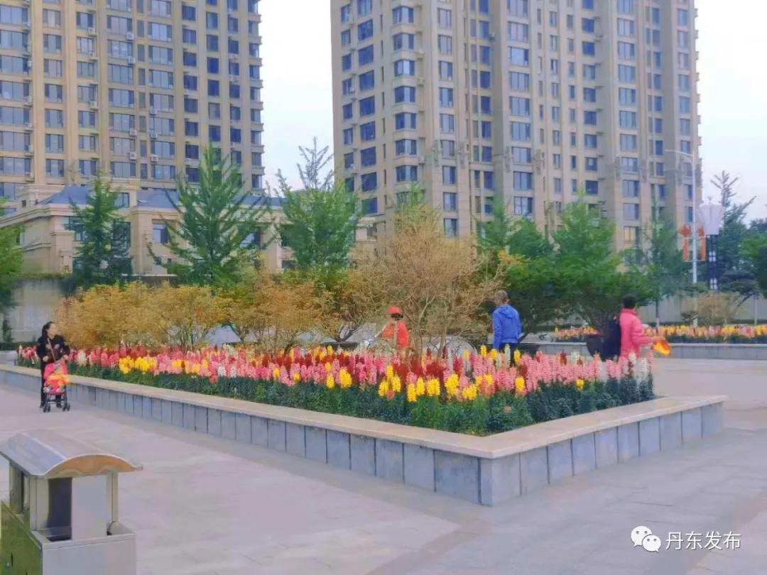 涓夊煄娓哥帺,涓夊煄鍏ㄦ皯鍋ヨ韩涓績