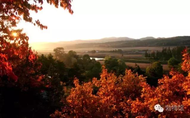 我叫勃利，这是我的个人名片