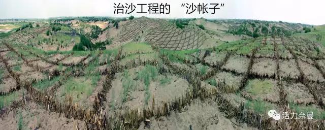 奈曼扶贫一点通,奈曼百企帮百村扶贫