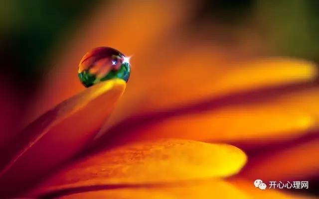 常见的有规律的事物,一些规律完整版