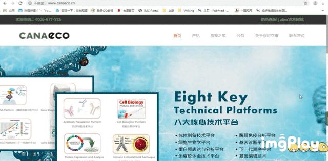 黑心宠物粮涉事企业有哪些,黑心宠物粮涉事企业