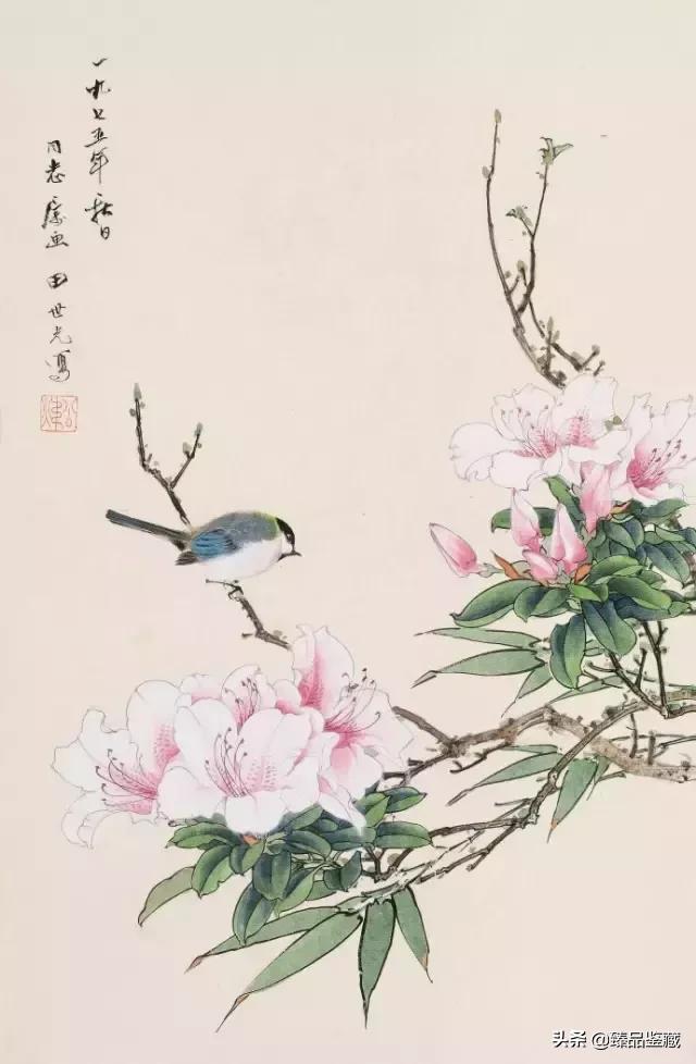 工笔大师田世光,工笔画大师田世光画孔雀好美