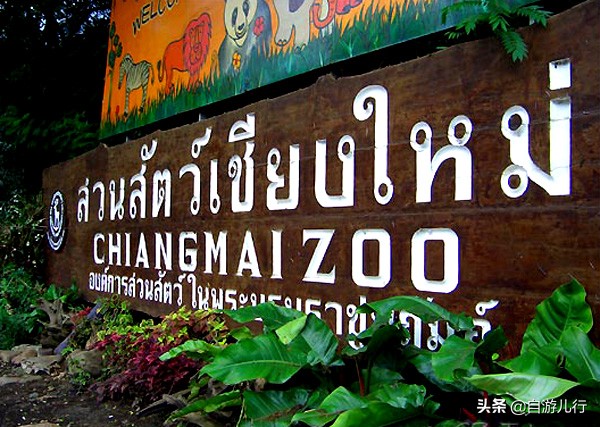 泰国清迈景点旅游路线攻略,泰国旅游清迈风景区攻略