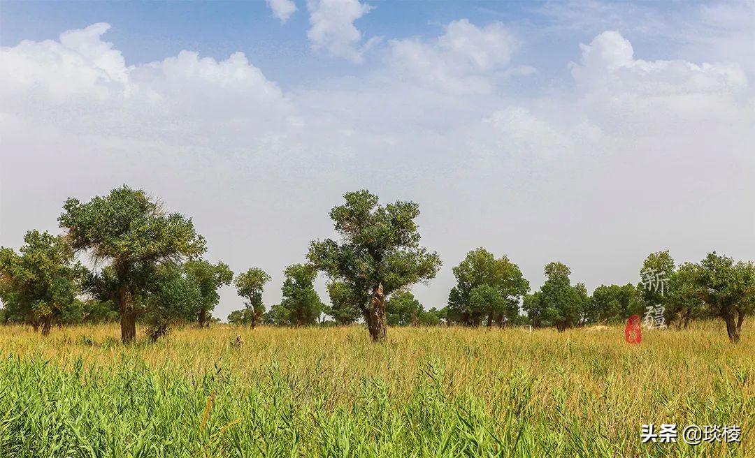 中国66号公路旅游攻略,中国自驾游66条经典线路