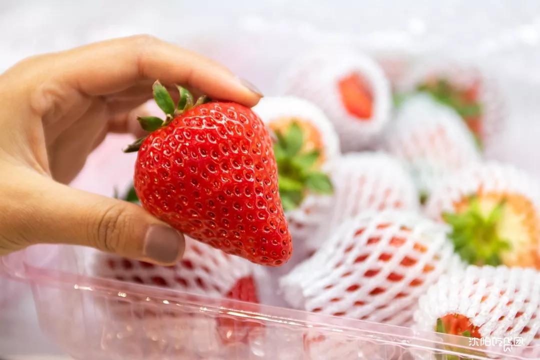 2020年最值得买的年货,2021值得买的年货