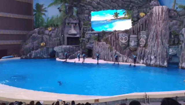 来一场说走就走的旅行珠海长隆,广东长隆及珠海长隆旅游攻略