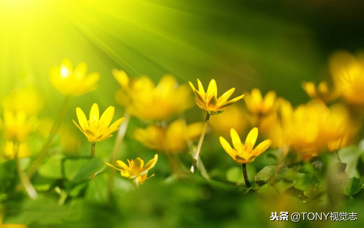 借相机不想借怎么拒绝,拒绝朋友借相机的技巧