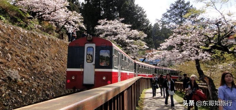 去台湾为什么要走三亚,去台湾看阿里山