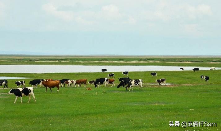 我发现一个配方篇十二：曾经上过315卡乐比麦片，现在能买了吗？