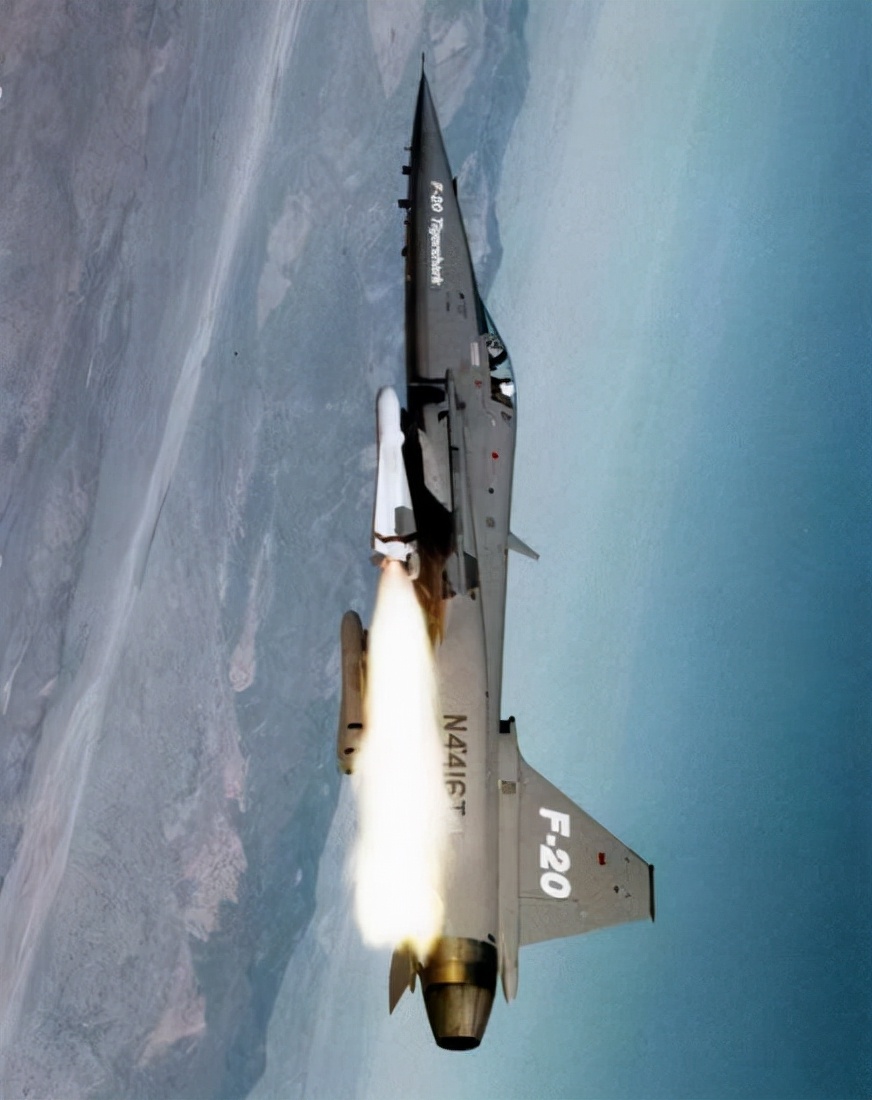 极富悲剧色彩的虎鲸,虎鲨悲剧