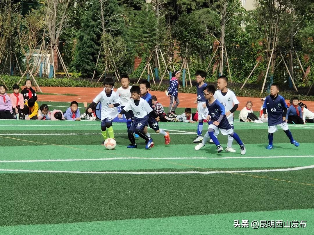 激情绿茵,校园足球联赛精彩纷呈