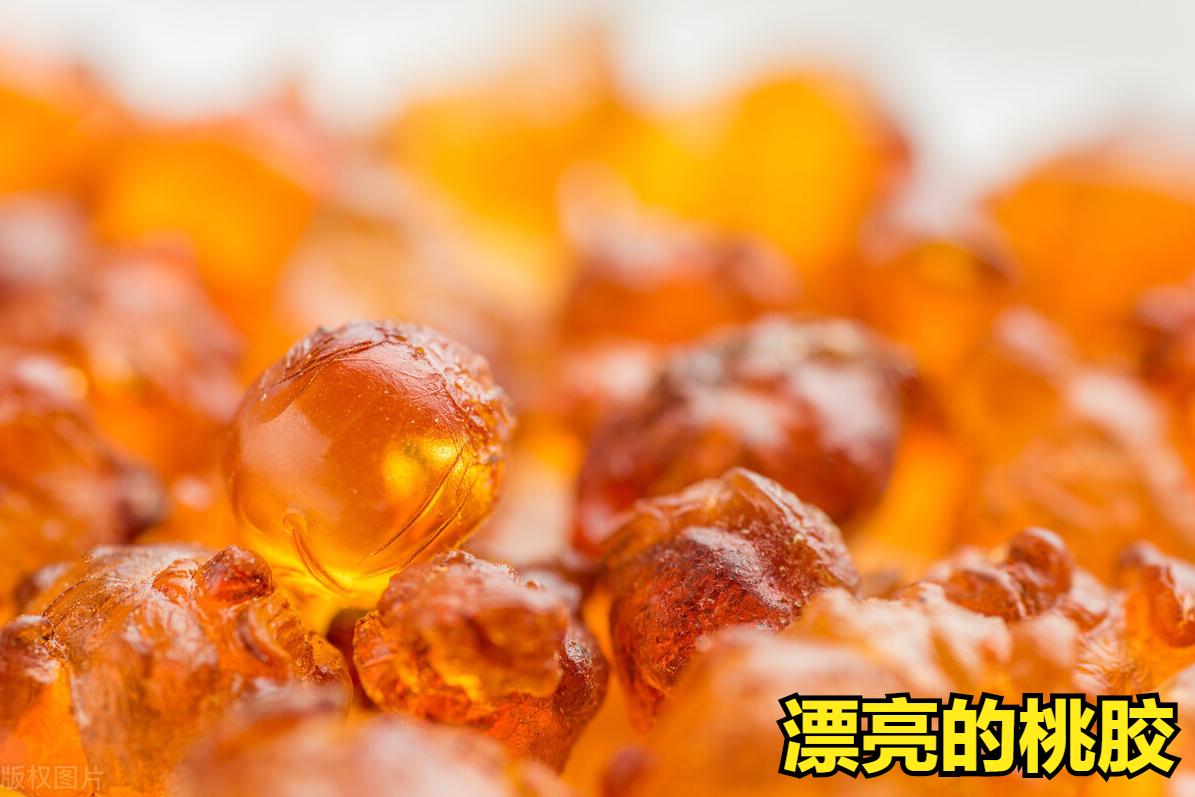 所有的桃胶都可以吃吗,桃胶直接从树上摘下来可以吃吗