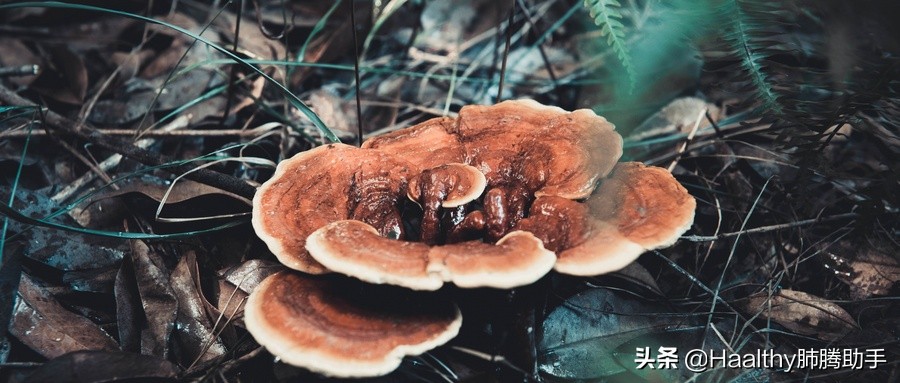 肿瘤患者为什么不能吃保健品,什么保健品对癌症有帮助