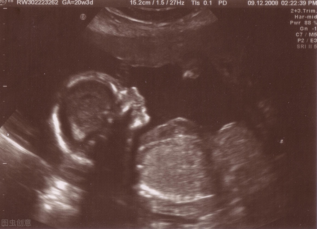 男女不孕的秘方,男女不育不孕症治疗中药方