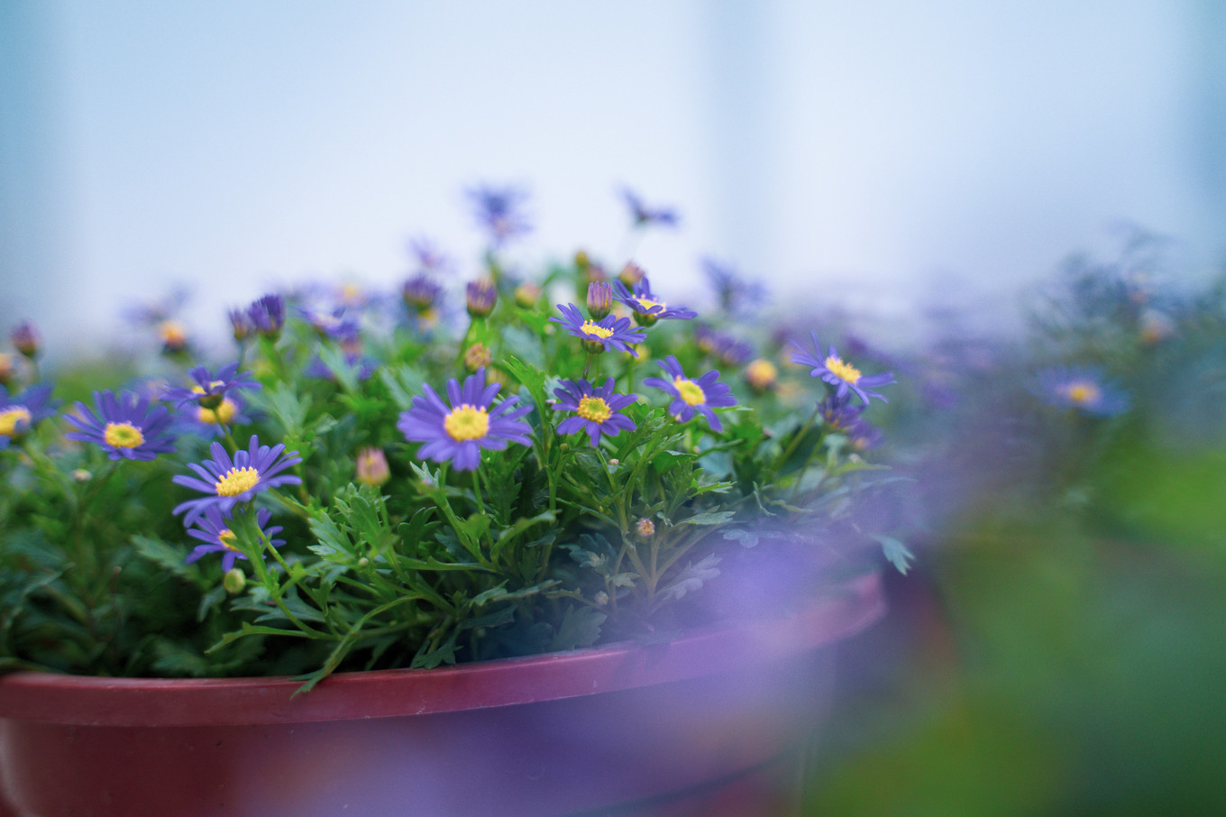 不仅仅是皮革，海清潮静——海宁