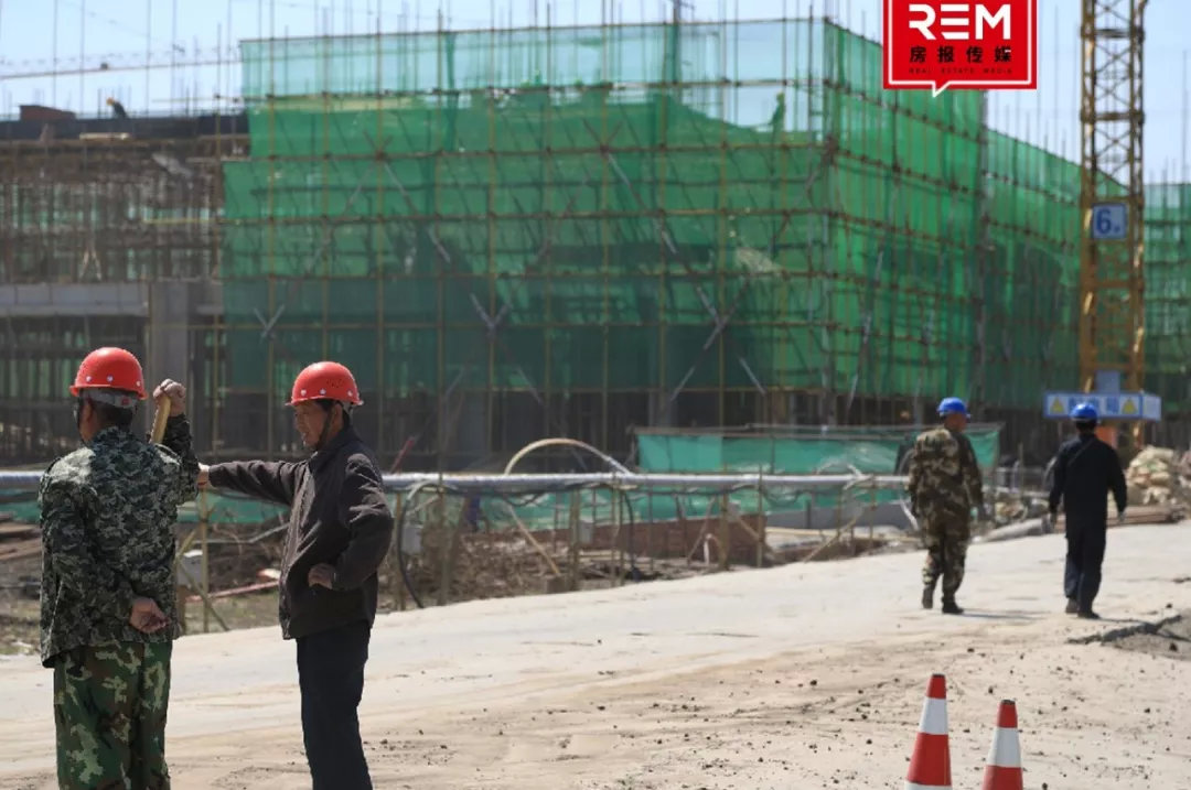 逆袭！原以为它抢了一块普通地块，结果是「亿万富翁」，它摊牌了