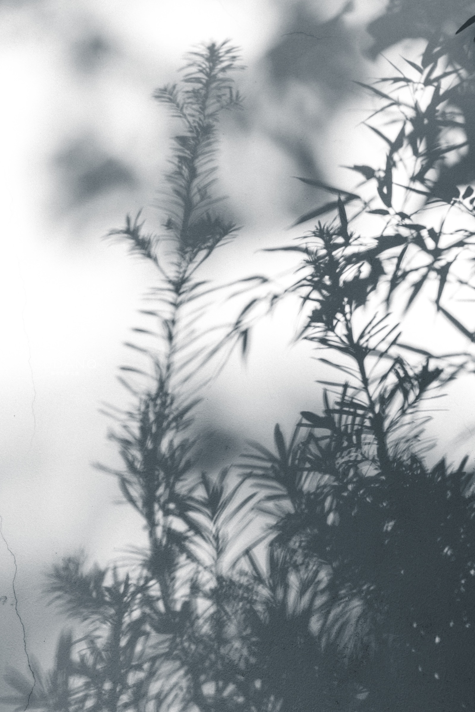 武汉真的是很美的城市,武汉最漂亮的园林