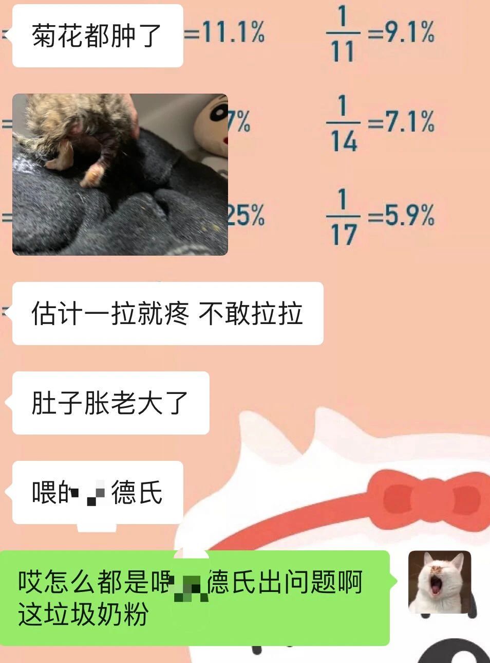 两只超凶的小奶猫怎么养,养刚出生的猫