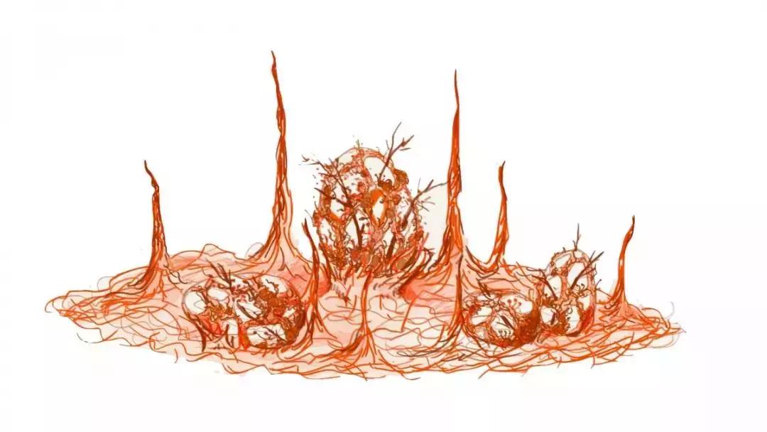 西湖花园节——见证最时尚的未来花世界！