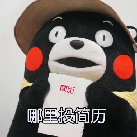 这么久自己的简历还不知道怎么写,看完你就知道简历怎么写了