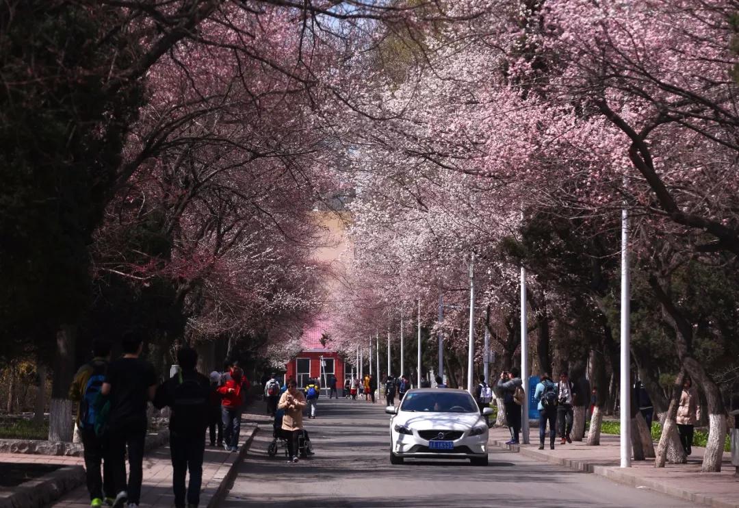 东北三省最适合宜居的城市,东北三省宜居养老城市