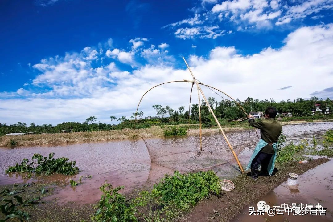 四川岳池坪滩旅游,岳池坪滩游玩攻略