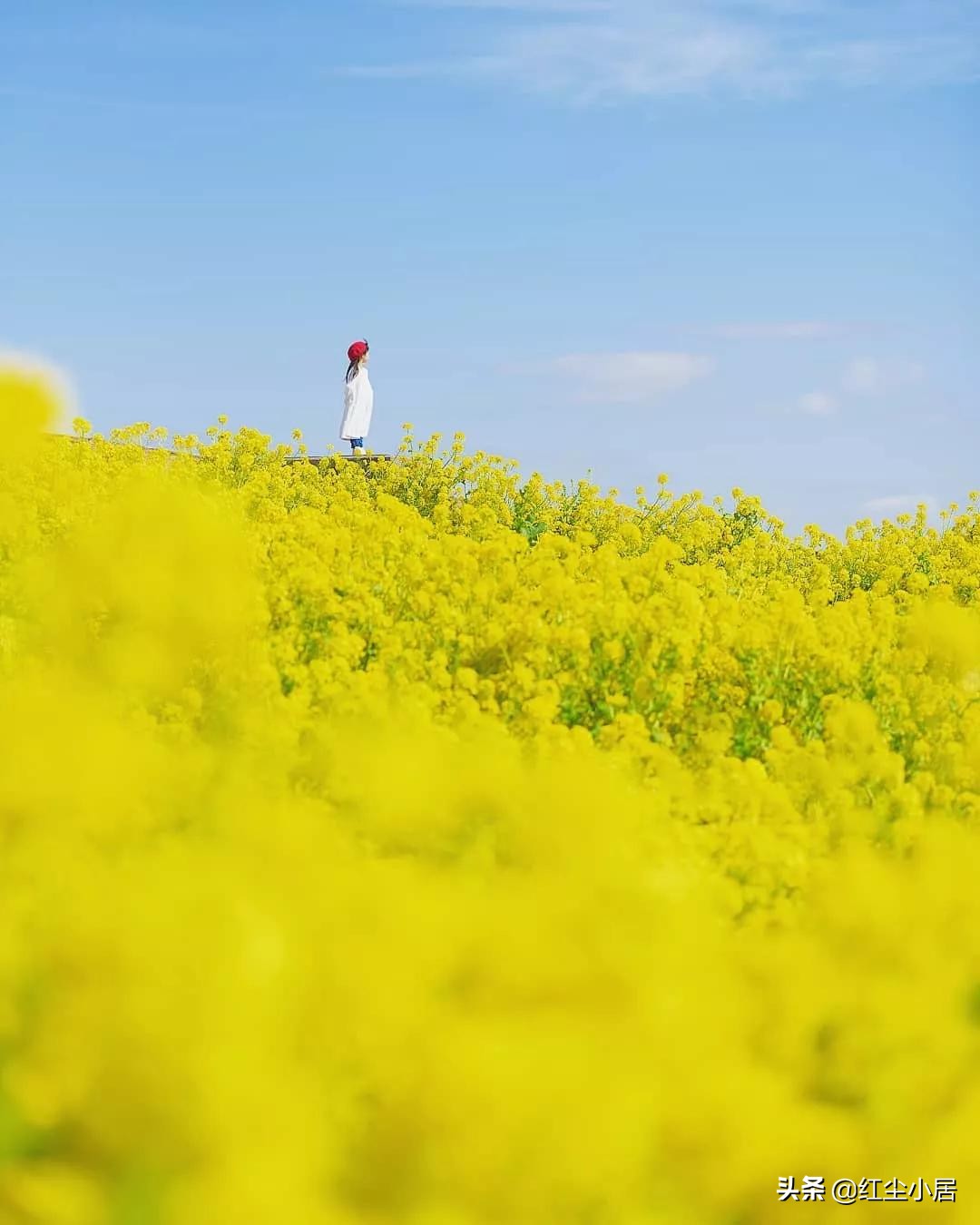 沈阳中学生情侣开房事件背后的警醒：我们该如何教育孩子