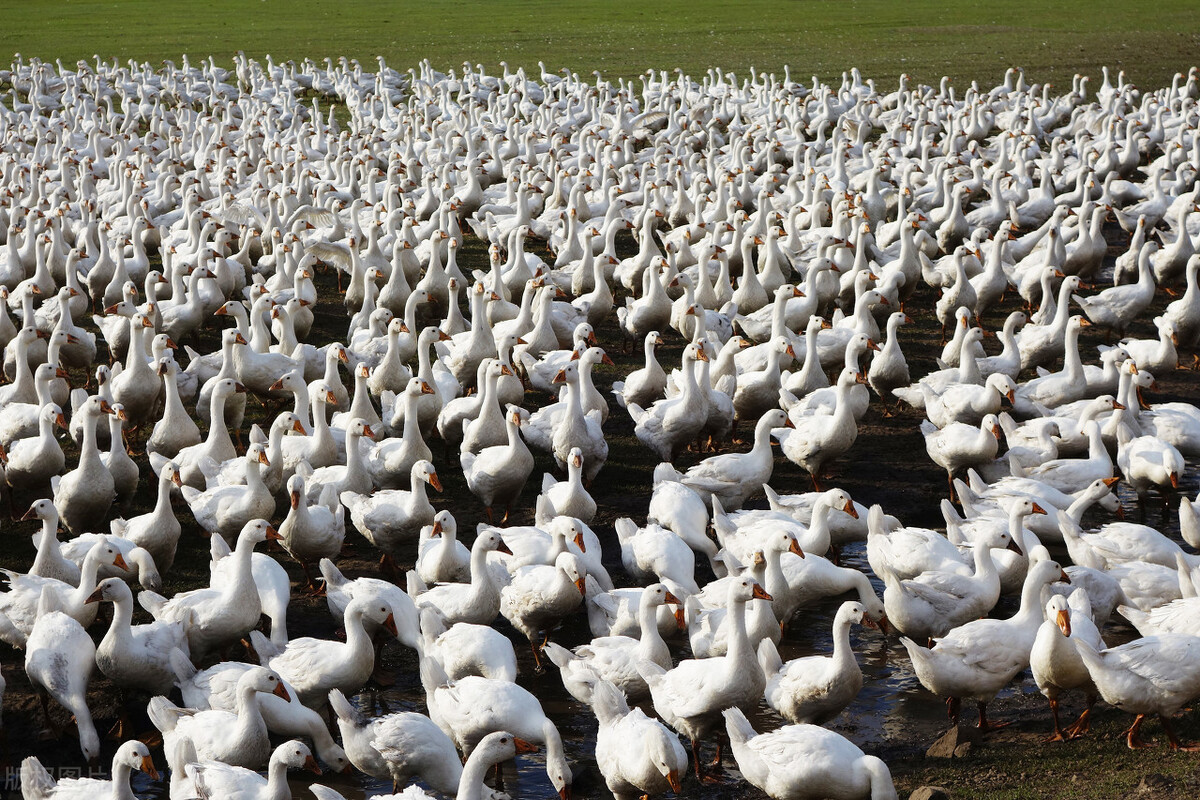 南通2024年第一季度招商项目,南通市项目可行