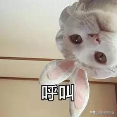 便池下水管能改位置吗,便池下水孔太小