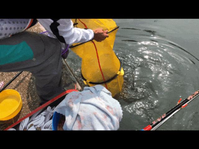 9月8日：华为、比亚迪、富士康、老G鱼饵，联合举办深圳企业联赛