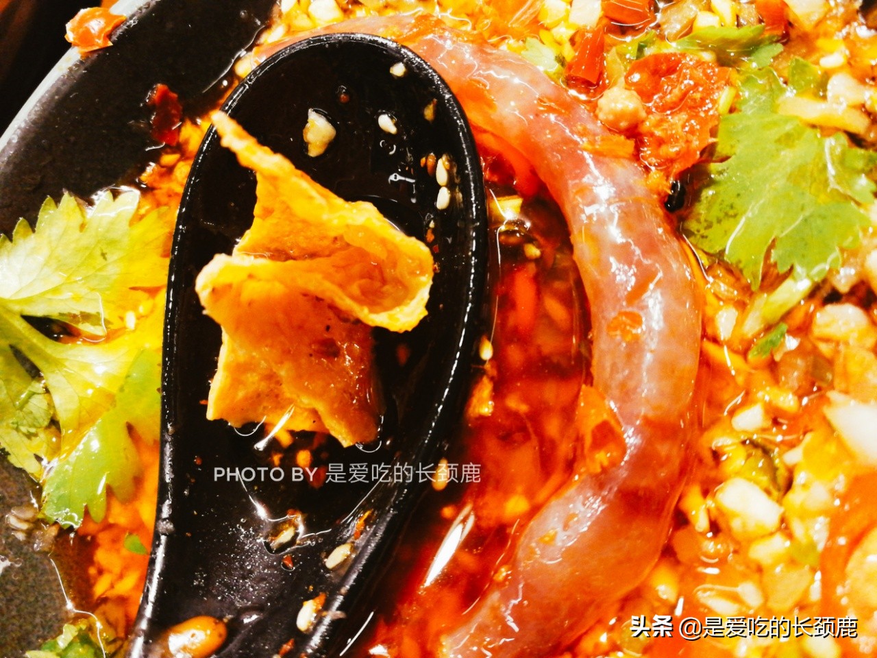 最好吃的鸭血火锅,谭鸭血火锅有什么特色