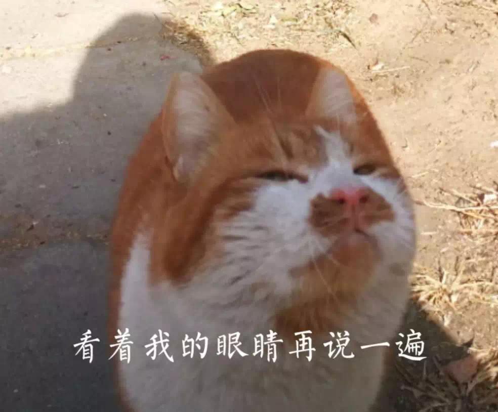 韩国电影版《雪国列车》背后的22件趣事：里面居然有黑猫警长