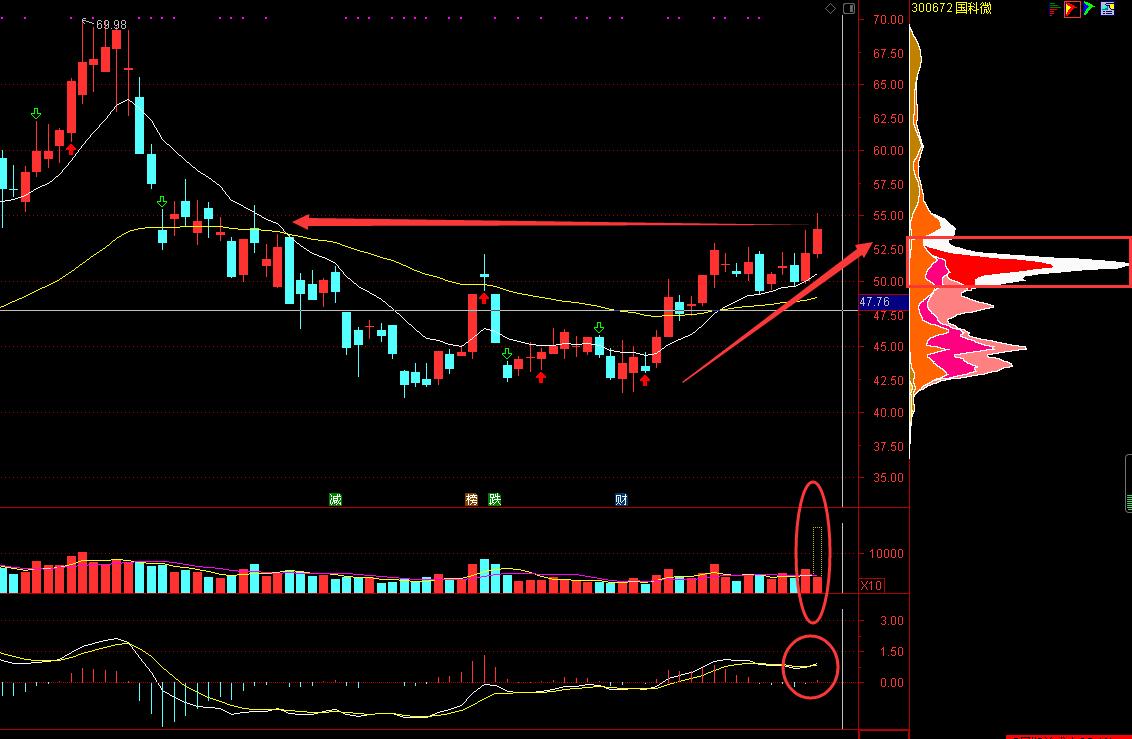 国科微，中国最硬核的中国芯公司，值得长期投资的价值标的