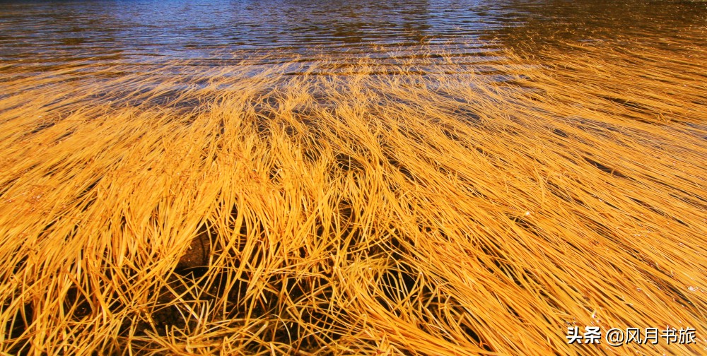 西昌山火扑灭！东方狂欢节邀你赴约，亿万年山海风光等你赏阅！