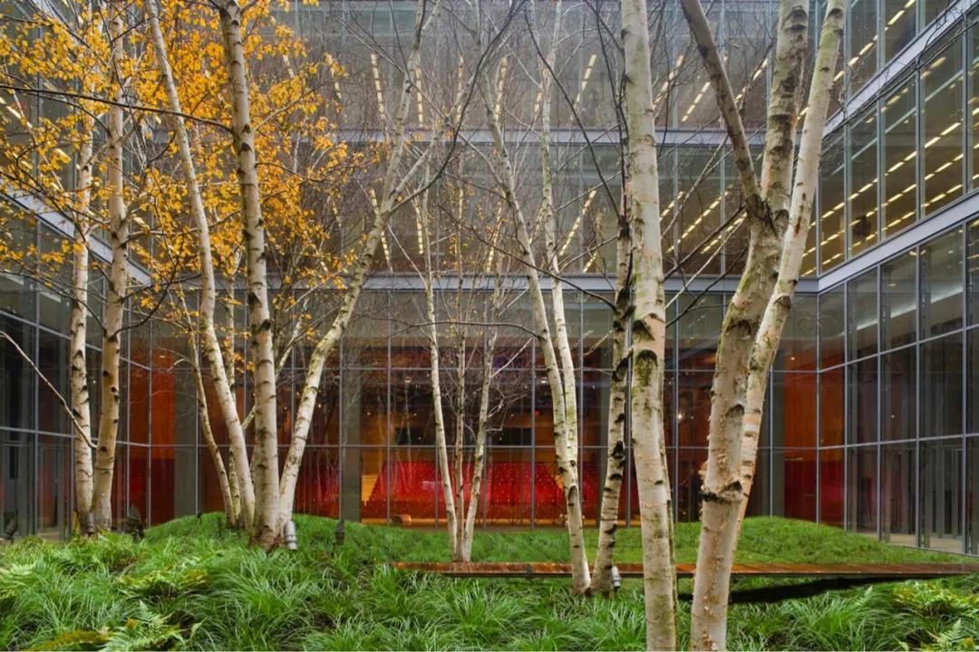 又一巨星陨落享年94岁,又一代巨星的陨落