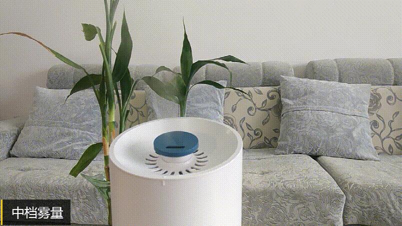 出雾的加湿器哪款好,无雾加湿器评测性价比